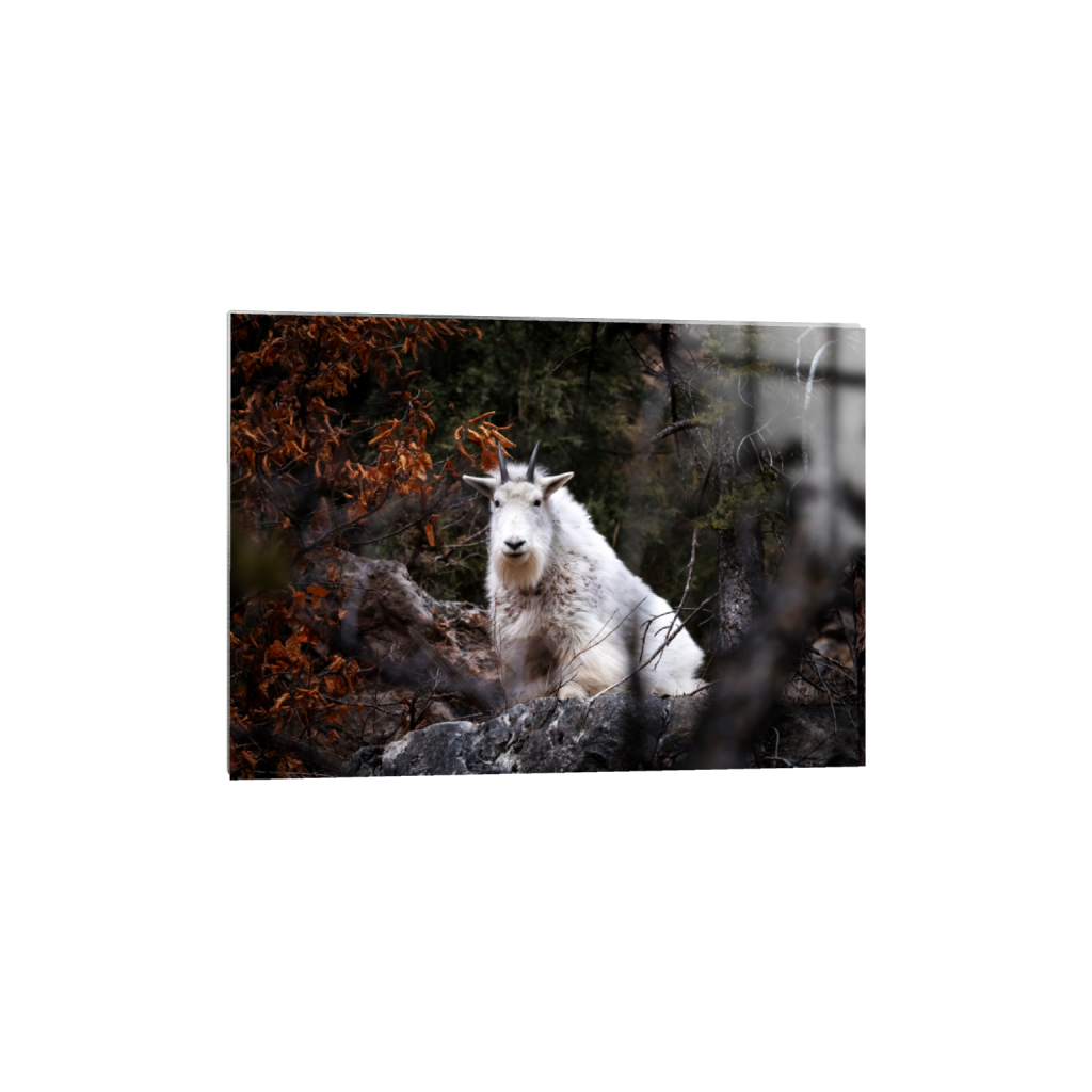 ptq_13_7_192_0_5405_3861_0_false_ffffff_0_0_.png