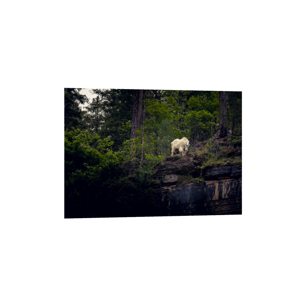 ptq_34_7_0_257_6000_4285_0_false_ffffff_0_0_.png
