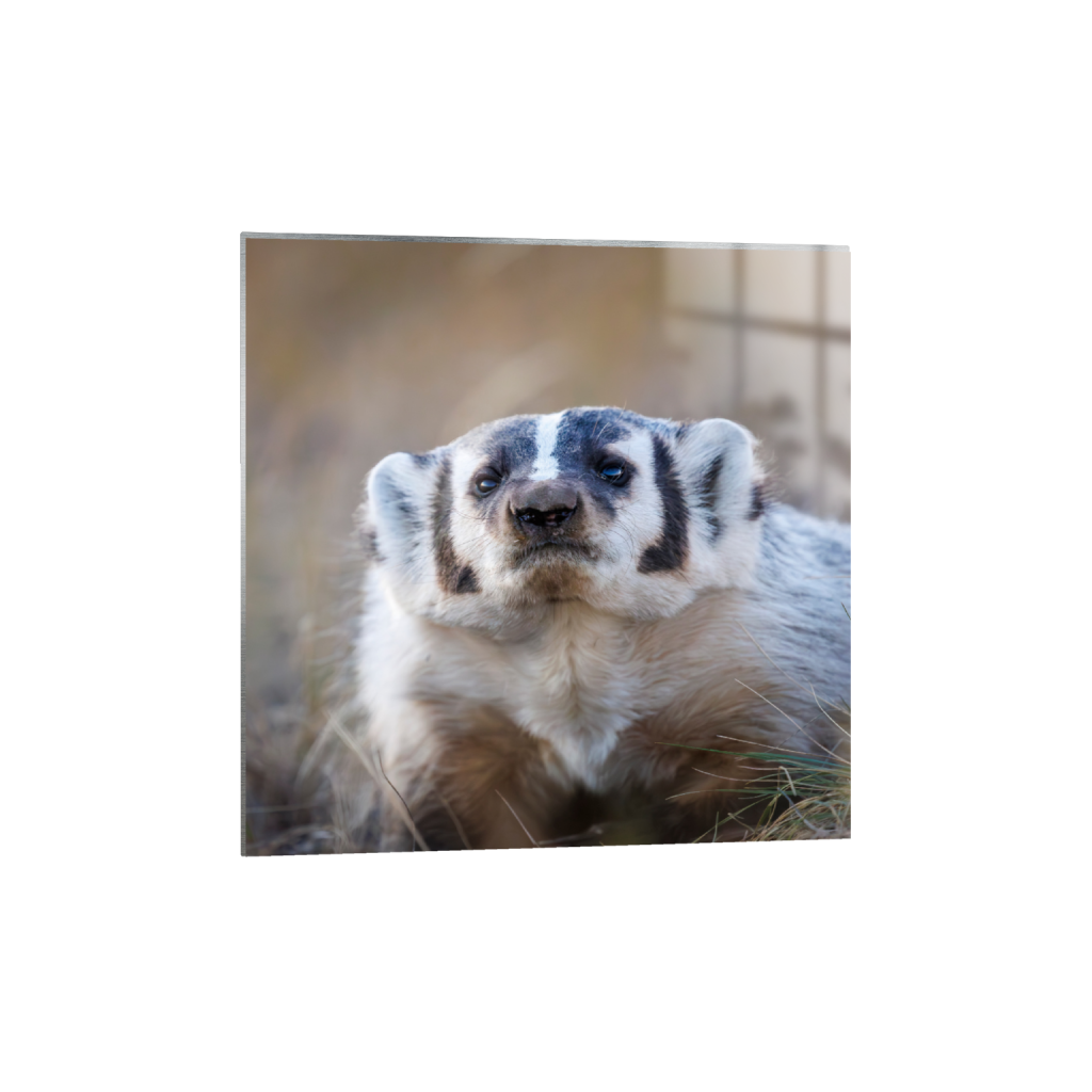 ptq_13_0_1340_0_4000_4000_0_false_ffffff_0_0_.png