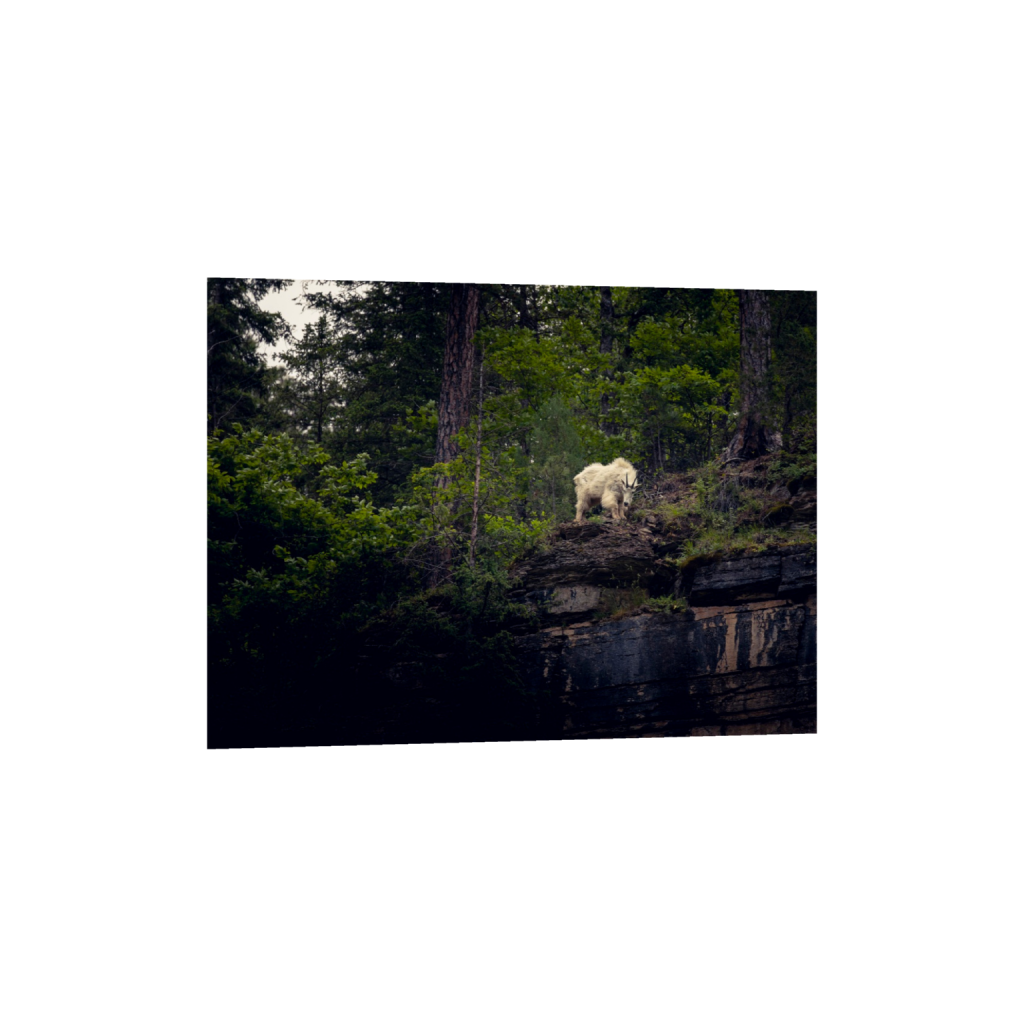 ptq_34_5_0_150_6000_4500_0_false_ffffff_0_0_.png