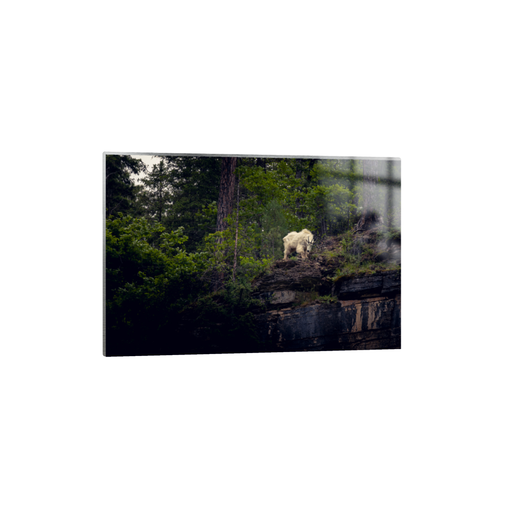 ptq_13_3_0_400_6000_4000_0_false_ffffff_0_0_.png