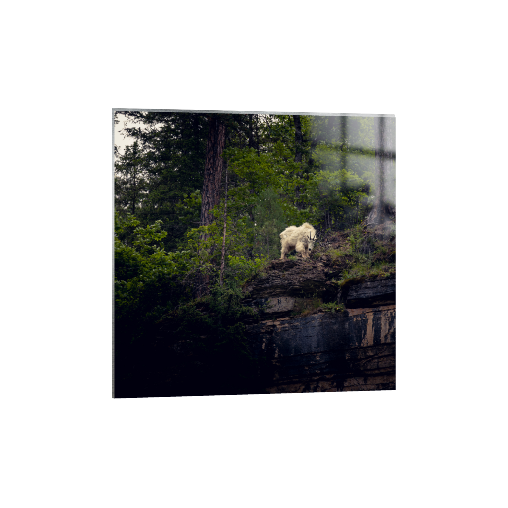 ptq_13_0_720_0_4800_4800_0_false_ffffff_0_0_.png