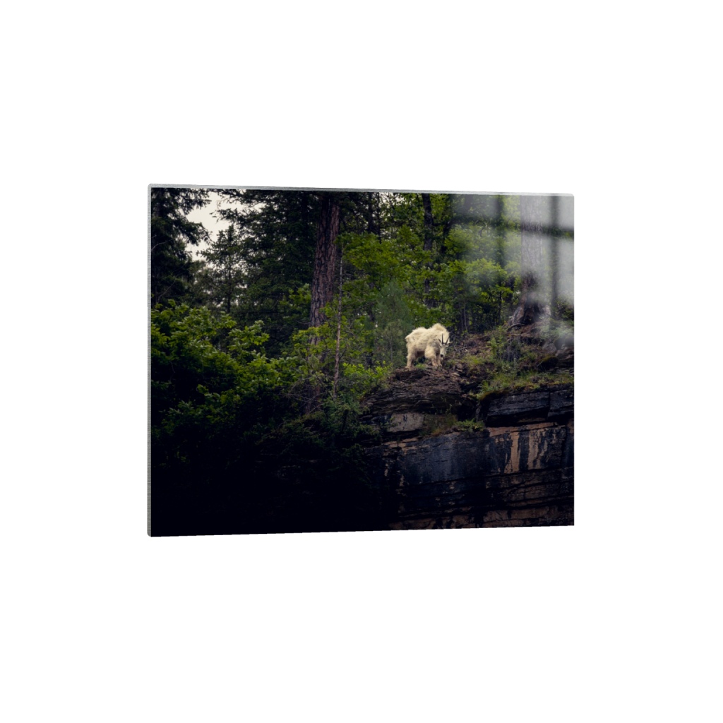 ptq_13_6_0_0_6000_4800_0_false_ffffff_0_0_.png