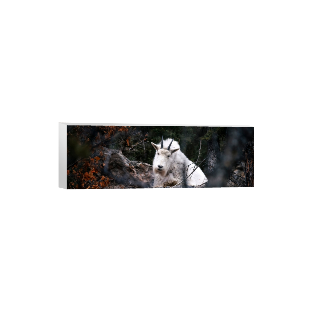 ptq_7_2_0_675_5791_1930_0_false_ffffff_0_0_.png