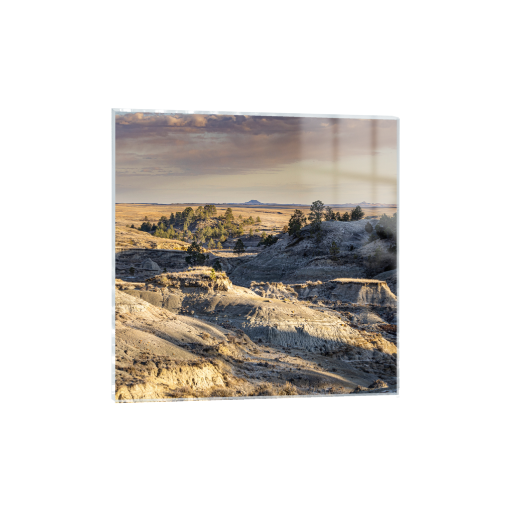 ptq_17_0_1546_0_3916_3916_0_false_ffffff_0_0_.png