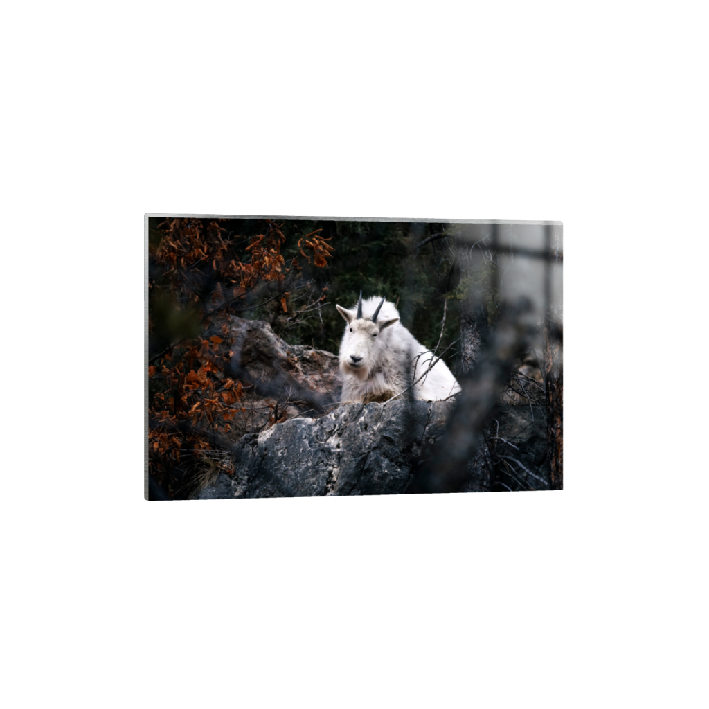 ptq_13_3_0_0_5791_3860_0_false_ffffff_0_0_.png