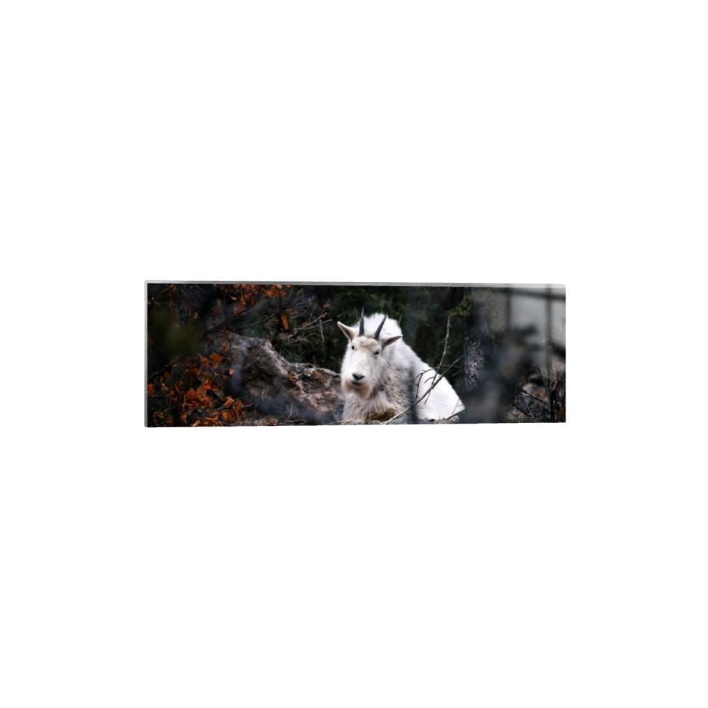 ptq_13_2_0_675_5791_1930_0_false_ffffff_0_0_.png