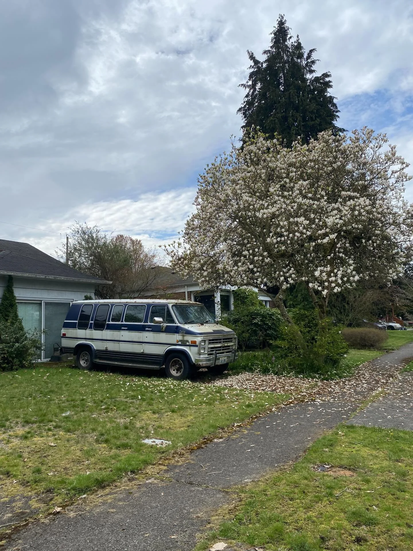 Nature and I plotting a bigger dream 🤝