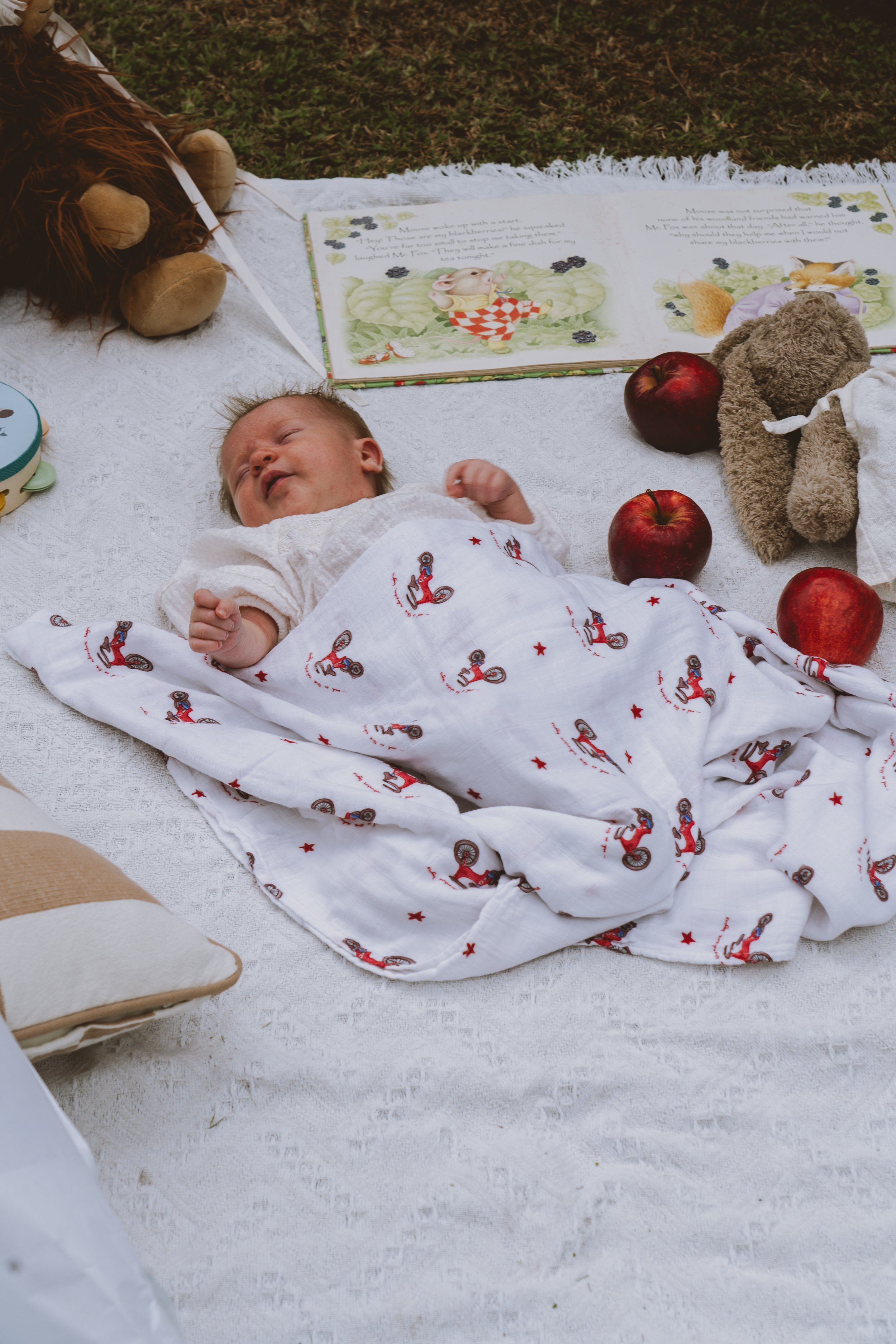 Trike Swaddle