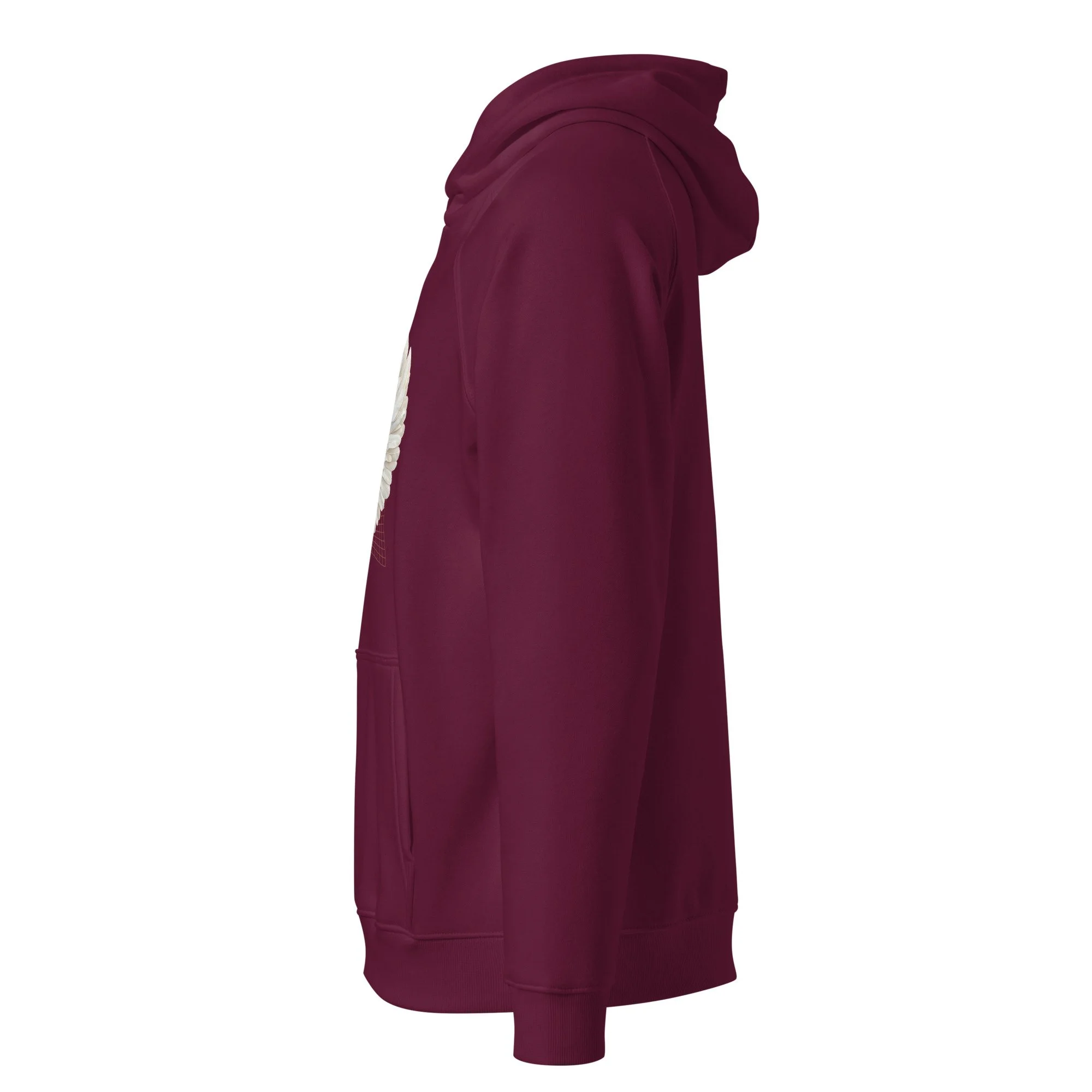 unisex-eco-raglan-hoodie-burgundy-left-6892972482bd5.jpg