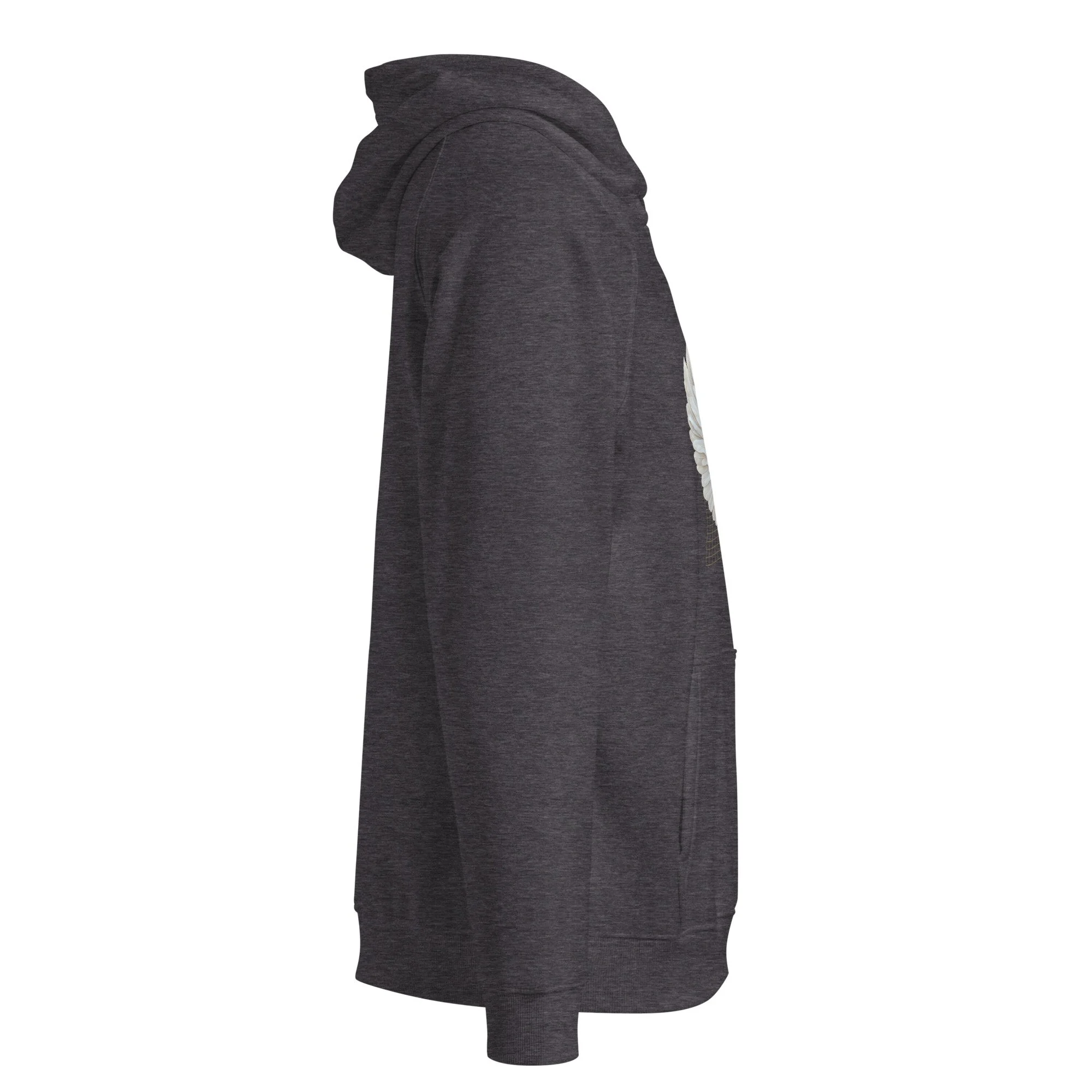 unisex-eco-raglan-hoodie-charcoal-melange-right-6892972486e15.jpg