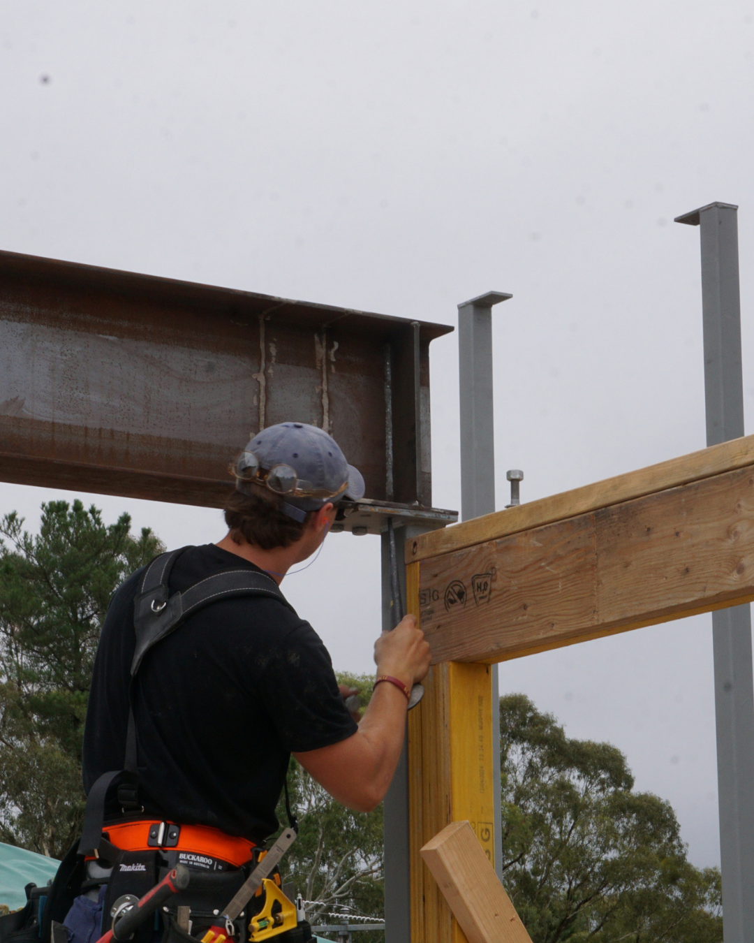 The Environmental Impact of LGS vs Timber Construction