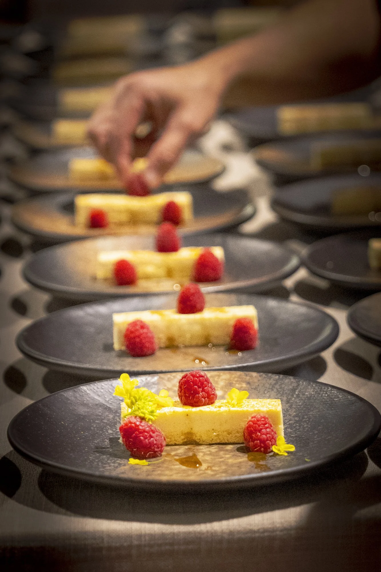 Feb 2025 Chappellet (15 of 15).jpg