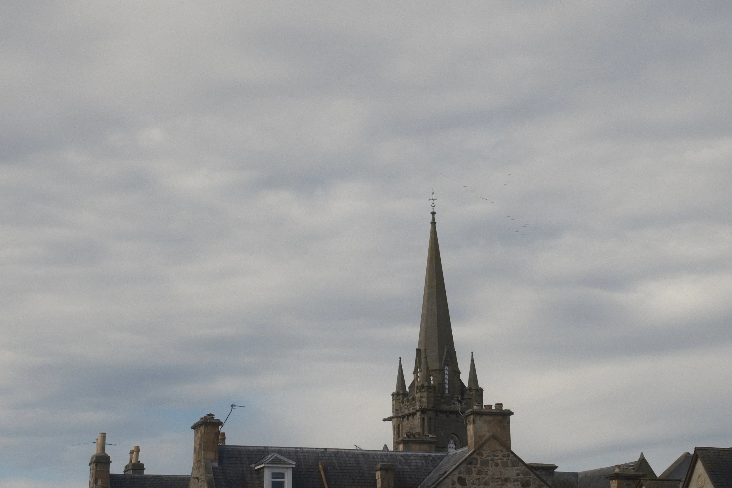Forres Obscura