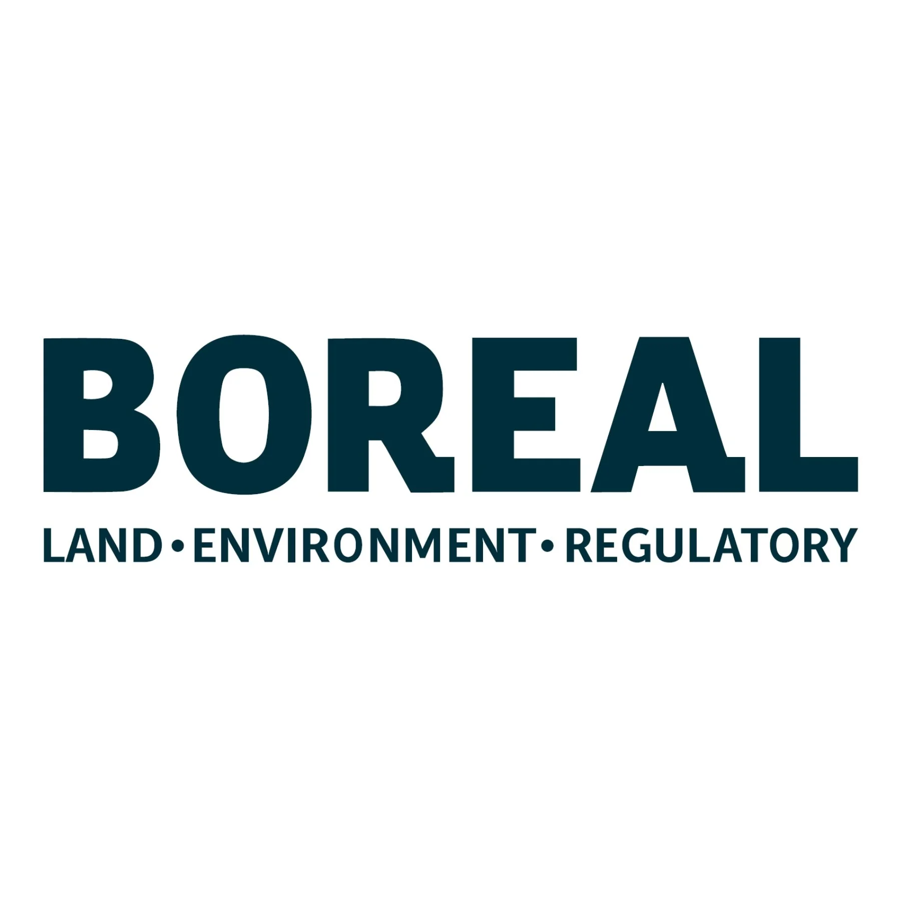 Boreal Land Services Logo