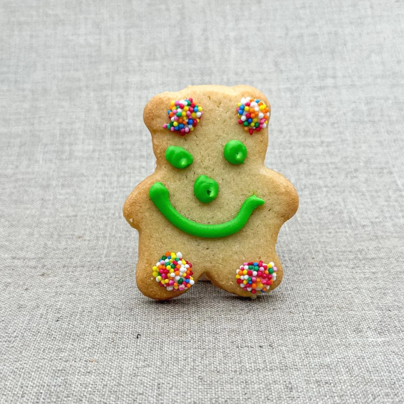 Iced critter shaped biscuits and cookies