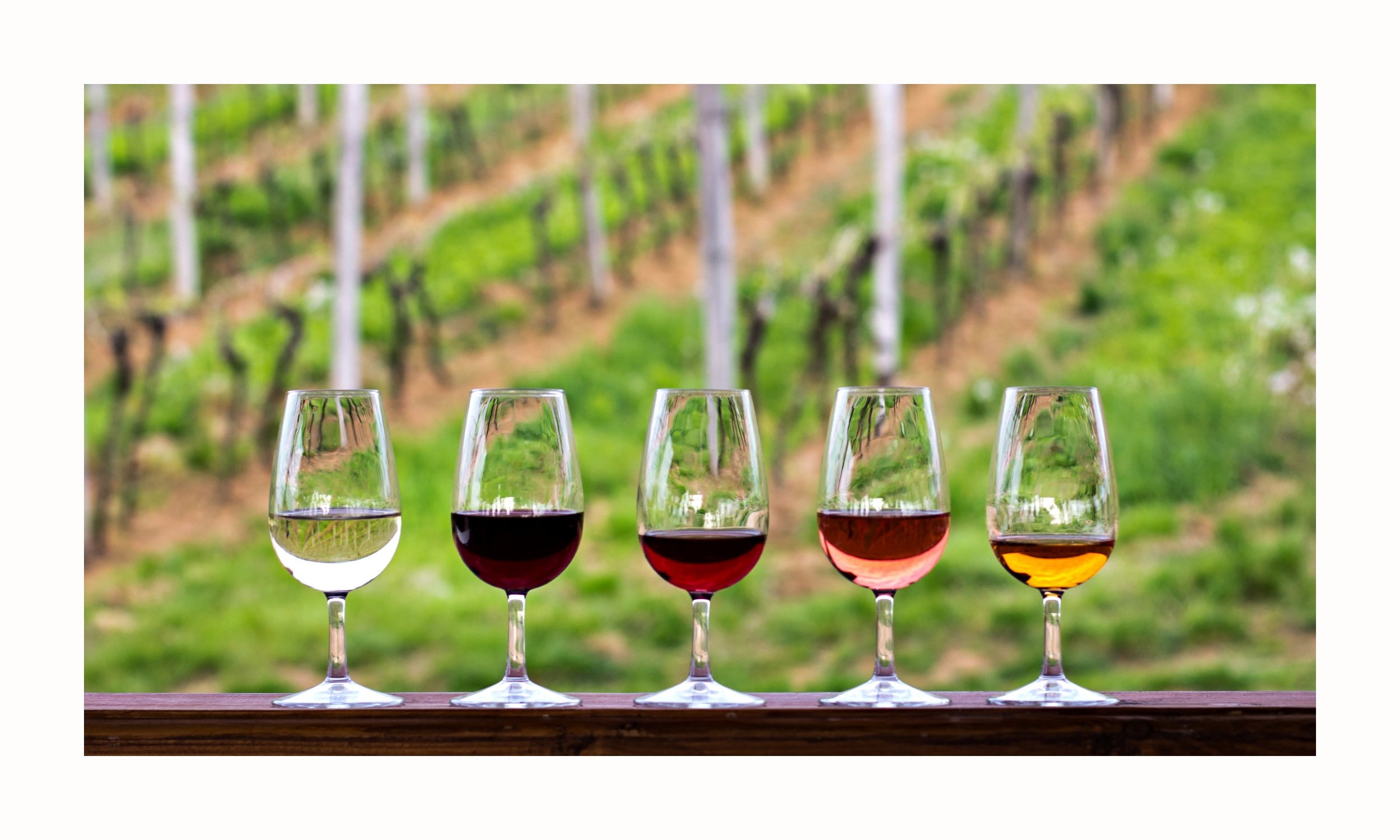 How To Taste Wine Like A Pro