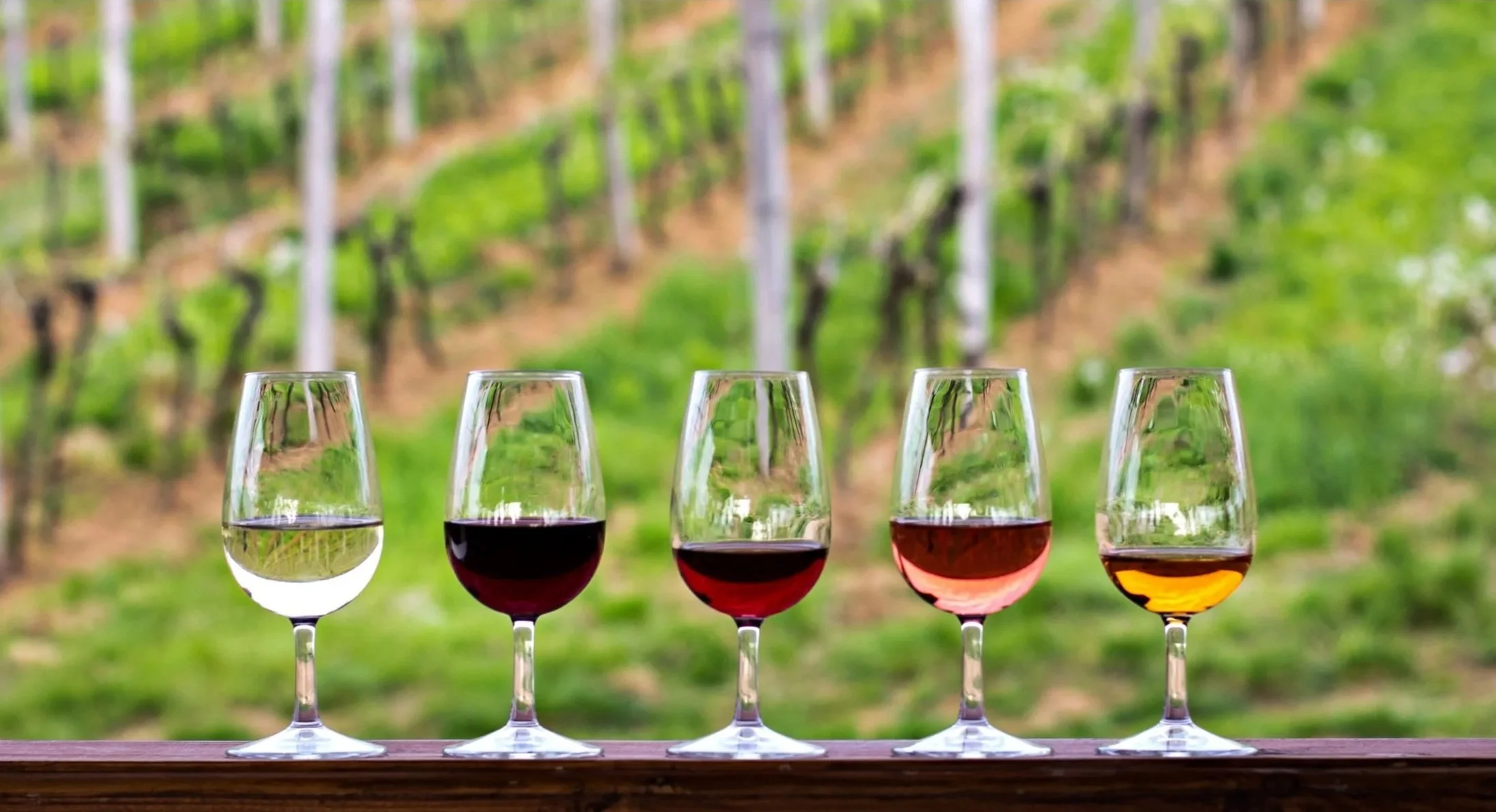 How To Taste Wine Like A Pro 