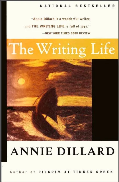 Dillard Nailed It