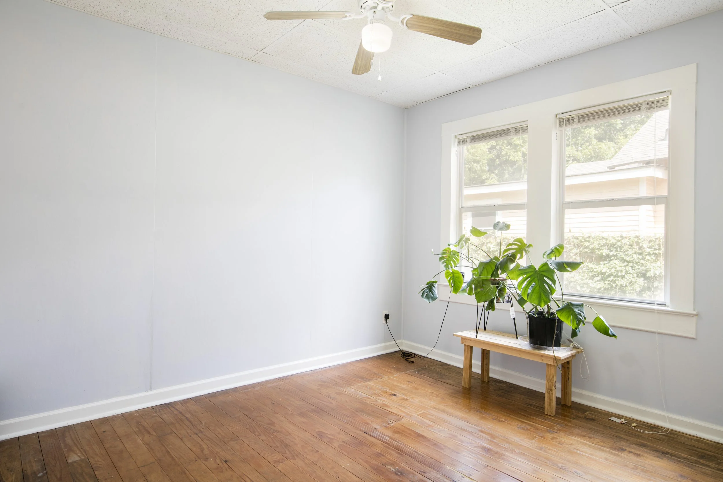A minimally furnished room with light blue walls, wooden floors, a ceiling fan with wooden blades, and large windows allowing natural light. There is a small wooden table with a potted plant near the window.