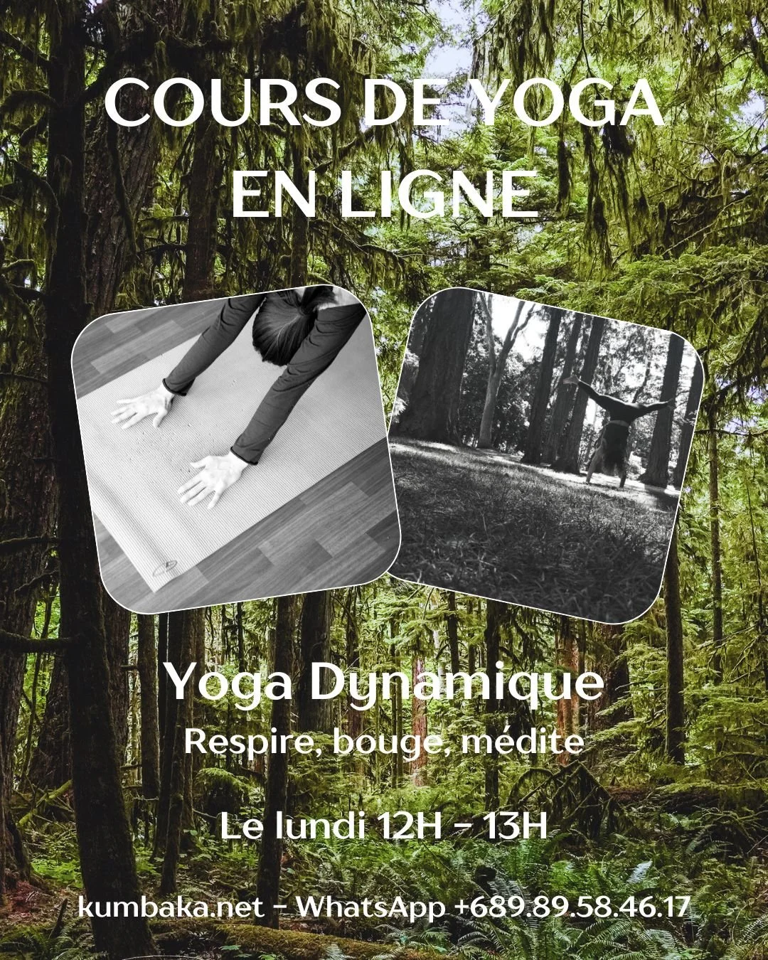 📅 Reprise des cours de Yoga bient&ocirc;t, youhouu !! 🎉

Super heureuse de vous retrouver et de vous partager quelques nouveaut&eacute;s qui sont venues parsem&eacute;es mon &eacute;t&eacute; &laquo;&nbsp;ressource&nbsp;&raquo; et ma pratique perso