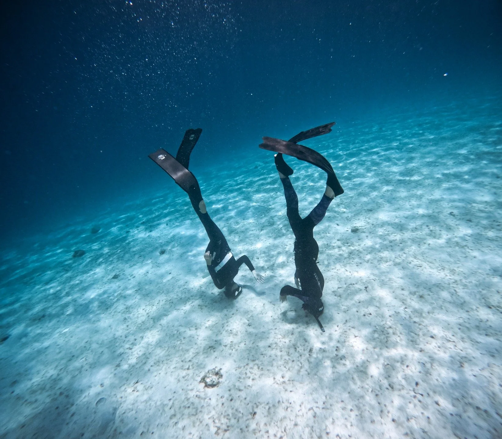 Trois journ&eacute;es magiques avec un groupe vraiment chou... douceur, bienveillance et rigolade. Un niveau 1/AIDA 2* dans les meilleurs conditions.
Des 20m et + easy en bi palmes.
Aquatiques, fluides... des jolis dauphins en devenir ! ^^

Merci bea