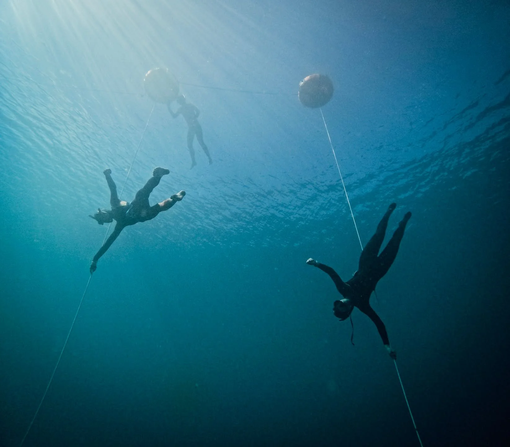 Un peu de magie dans ce monde!

Un dimanche 21 d&eacute;cembre entour&eacute;es de magnifiques sir&egrave;nes. Eh oui, fallait venir les gars.

De conditions "encore" parfaites. 

Et un retour &agrave; la fin de la s&eacute;ance dans mon st