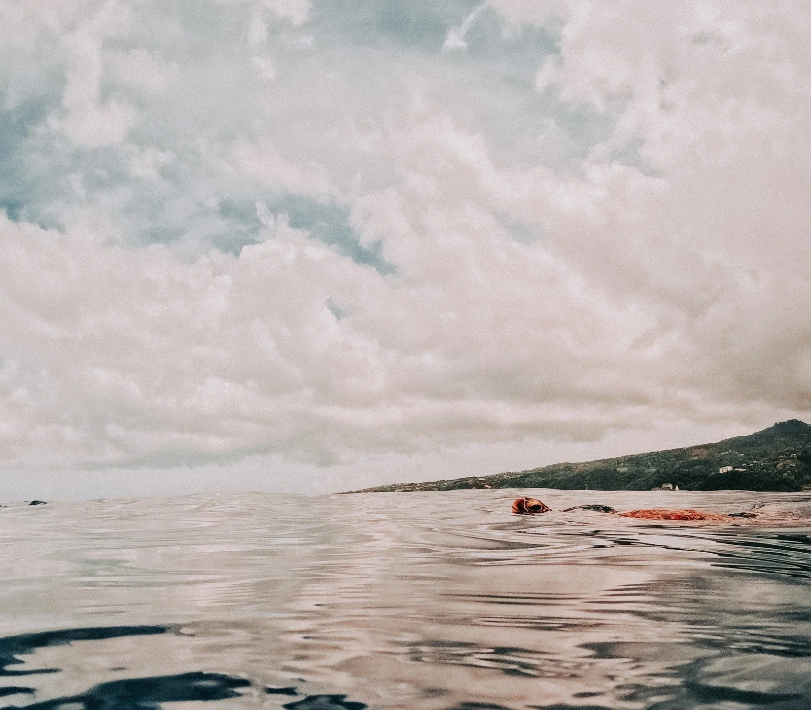 Un souffle &agrave; la surface. Un monde entier en dessous 🐠🐙🦈

Les animaux du dessus ou du dessous m'ont toujours inspir&eacute;.

Inspirer, c&rsquo;est accueillir la vie. 
S&rsquo;inspirer, c&rsquo;est retrouver un &eacute;lan. 
La nature est mo
