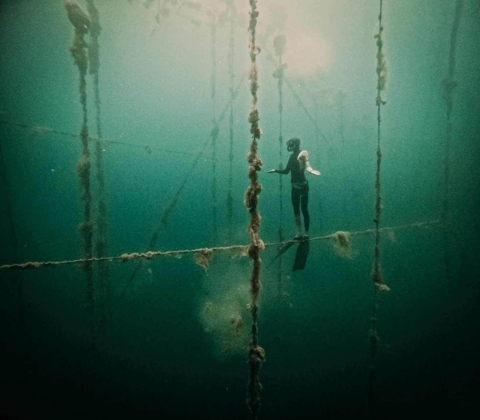 En dehors de la ligne, juste &agrave; c&ocirc;t&eacute;, on a trouv&eacute; un monde cach&eacute; sous la surface.
Silencieux, suspendu. 
On a explor&eacute;. On a jou&eacute;.
Une funambule avance en &eacute;quilibre pr&eacute;caire.
Algues, brume, 