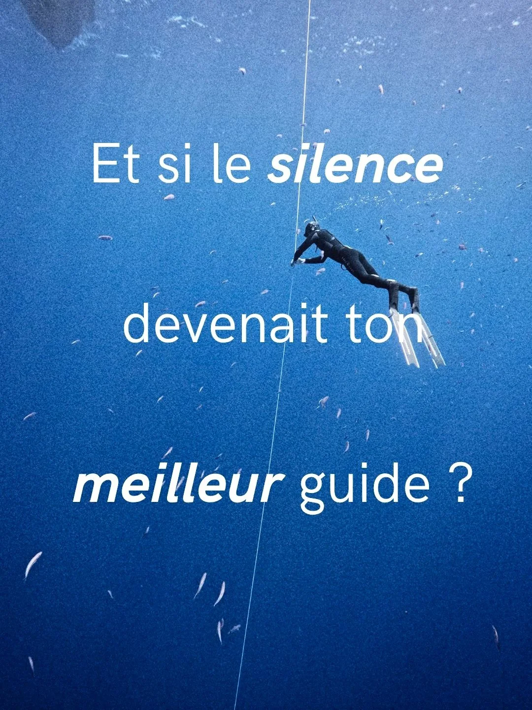 🌟🫧 PLANNING DES COURS D&rsquo;APN&Eacute;E &ndash; NIVEAU 1 / AIDA 2* 🫧🌟

Encore quelques jours (offre valable jusqu'au 31 janvier) pour s'inscrire sur une de ces dates pour profiter de deux entra&icirc;nements gratuits &agrave; effectuer suite a