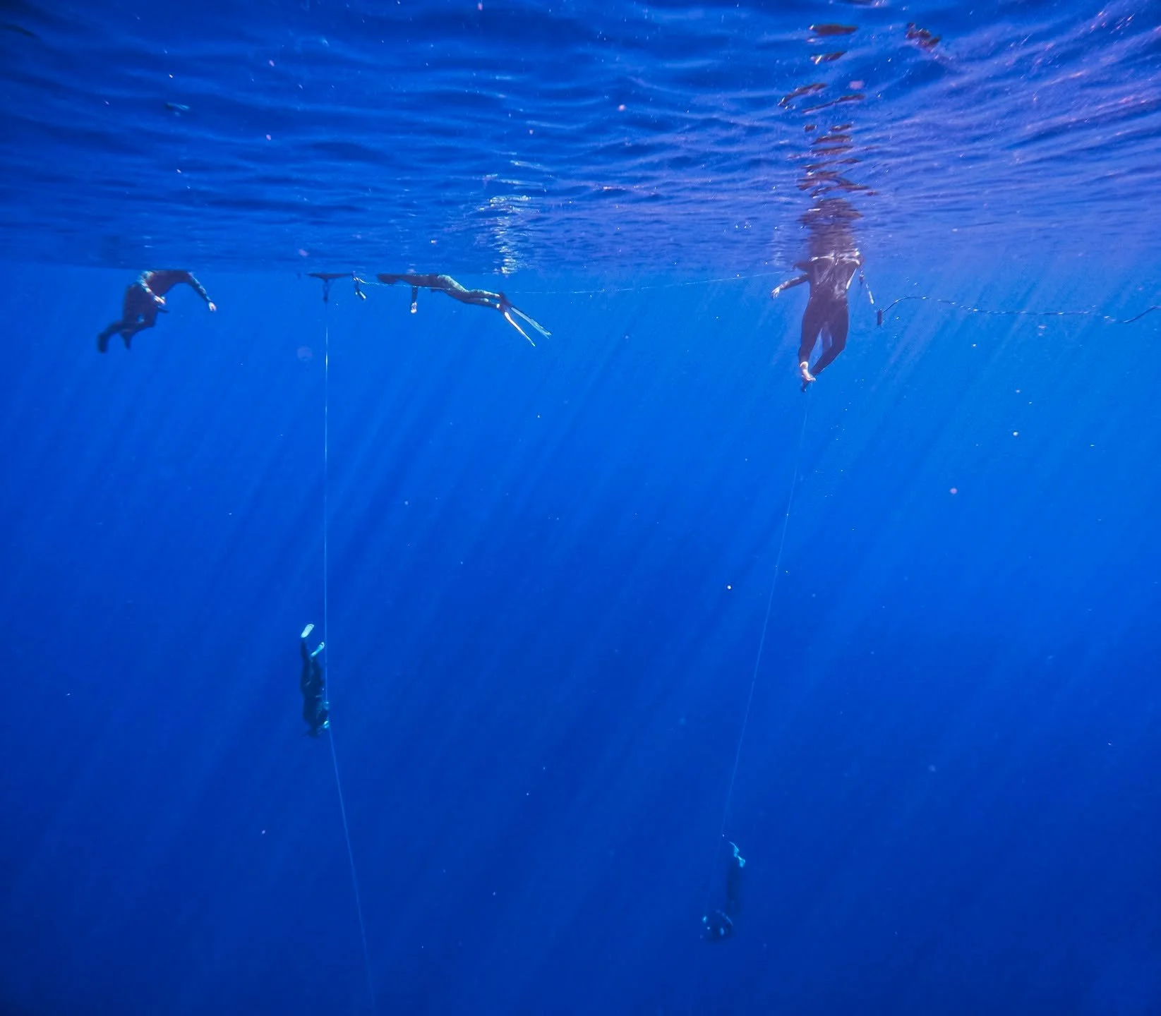 😌 Ce bleu, ce bleu !! Tellement hypnotique

Quelle chance pour les niveaux 2/AIDA 3, zone 30m, de Janvier (10/11/24/25 janvier), premi&egrave;re s&eacute;ance profondeur du stage c&ocirc;t&eacute; grand bleu !Yes ! 
Toujours excitant de sortir c&oci