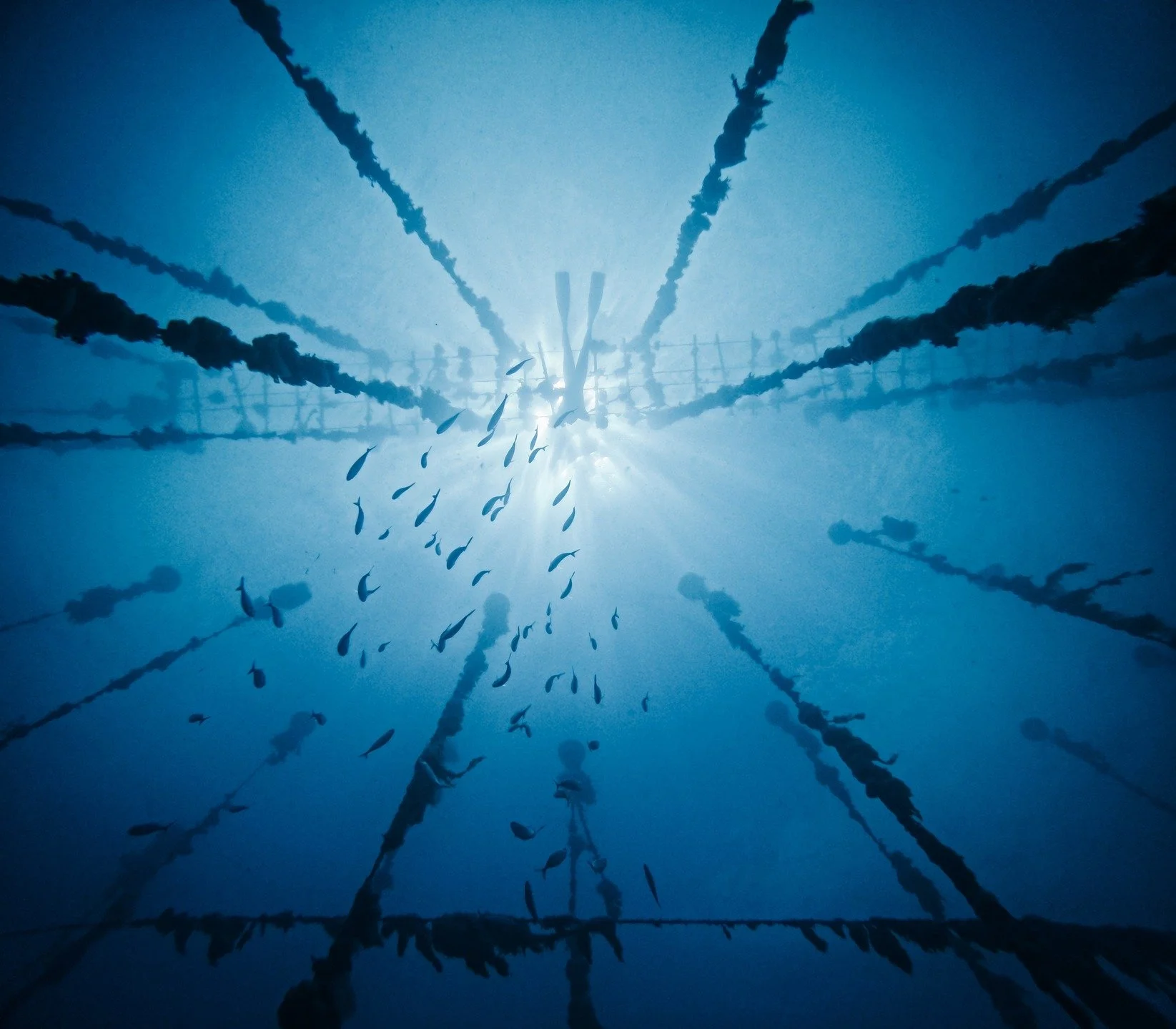 💯 Playground's freediving le retour 🔥

Jeu et cr&eacute;ativit&eacute; &agrave; l'infini dans notre studio favori, apr&egrave;s les entra&icirc;nements sur la ligne.
On y retourne avec un autre jouet que la GoPro pour une meilleure qualit&eacute; d