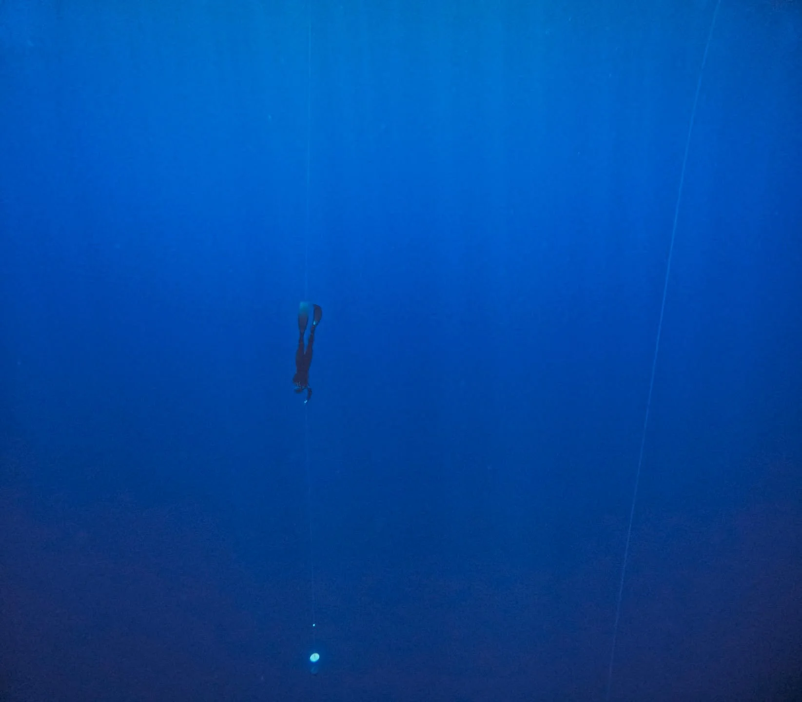 Du bleu et des copains 💙

Entrainement d'apn&eacute;e du 14 f&eacute;vrier. Beaucoup de fun, de douceur et de belles performances.
Des 20m confirm&eacute;s, des 34/35m &agrave; l'aise et un ti 40 .

Avec Maud, Ana, Antoine, Camille, Caroline, Margau