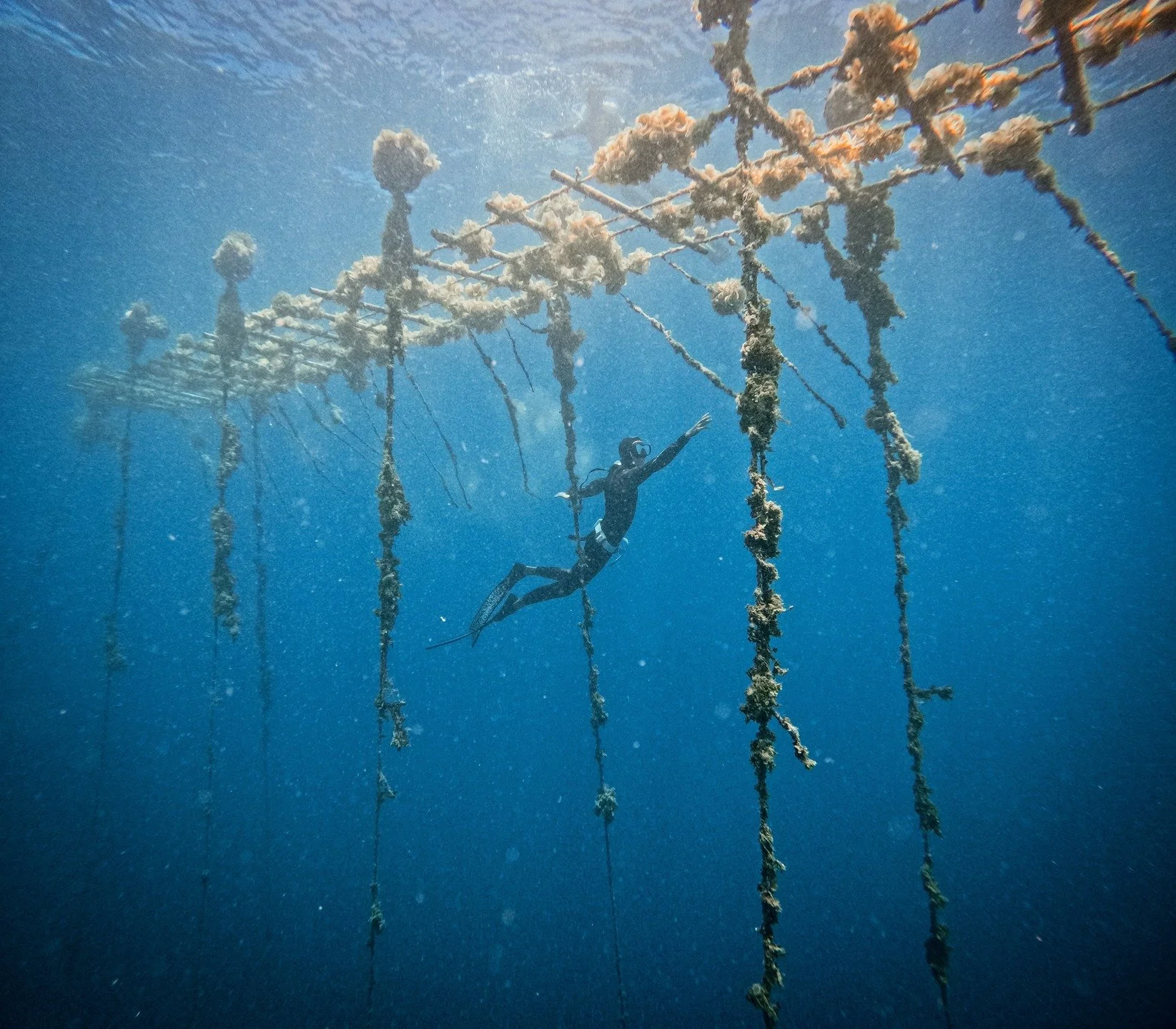 Aujourd&rsquo;hui, je rends hommage aux oc&eacute;ans, aux mers, aux lacs&hellip; 
Sal&eacute;e ou douce, l&rsquo;eau est la m&eacute;moire du vivant, le premier refuge, celle qui nous traverse, nous relie et nous rappelle, silencieusement, qu&rsquo;