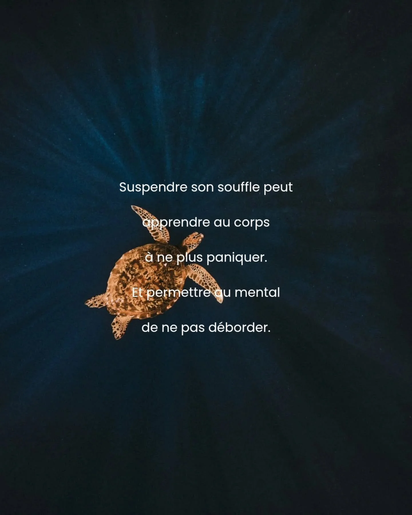 Depuis que je suis sur le chemin du souffle et de sa r&eacute;tention, tout a chang&eacute;. J'ai compris avec le temps que le souffle r&eacute;v&egrave;le souvent ce que le mental cache.

Dans certaines pratiques conscientes, l&rsquo;apn&eacute;e de
