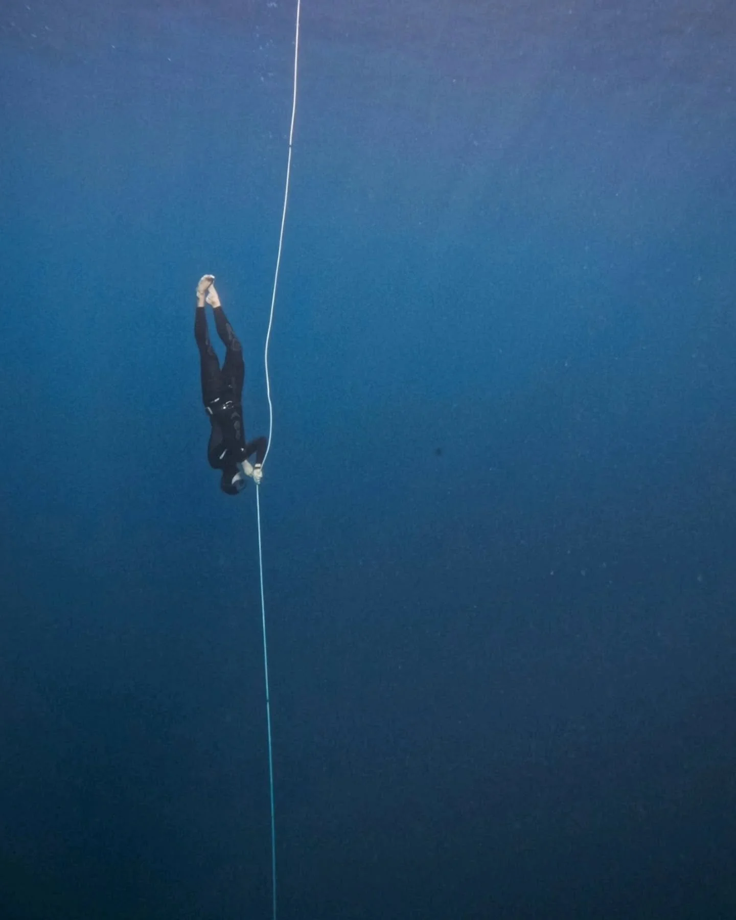 Il y a cet endroit o&ugrave; la gravit&eacute; semble nous avoir oubli&eacute;. Chaque immersion all&egrave;ge un peu plus. N'as tu jamais r&ecirc;v&eacute; de flotter ou de voler, libre de ton propre poids ?
C'est ce qui me fascine le plus avec l'ap