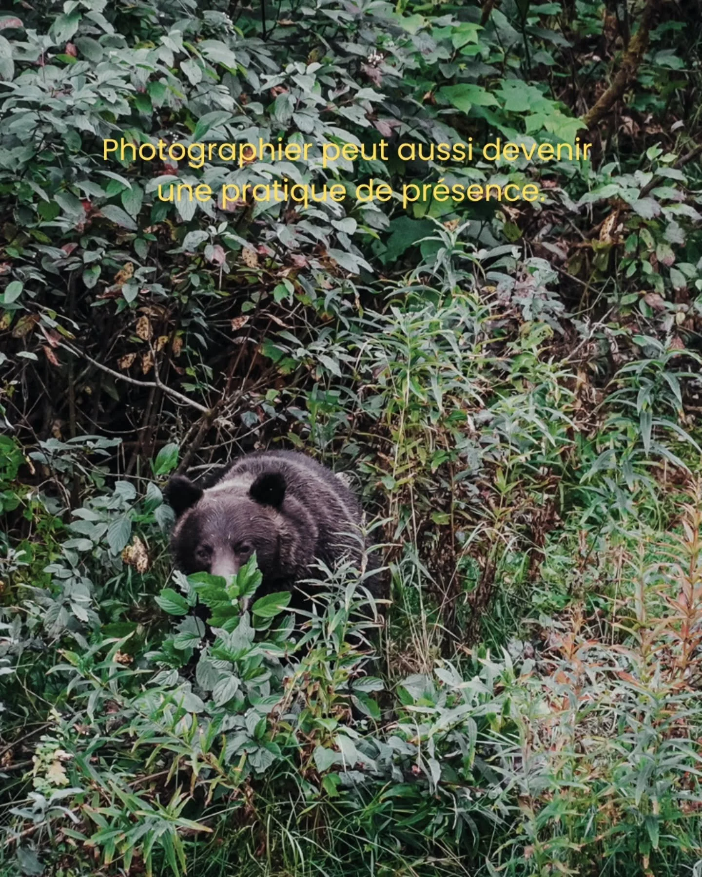 On parle souvent de photographie comme d'un art du regard. (voire de l'appareil photo lui-m&ecirc;me! ^^... C'est quoi ton appareil, il prend de belles photos !)

Bref je crois qu'elle est d'abord un acte de pr&eacute;sence. 

Quand je photographie, 
