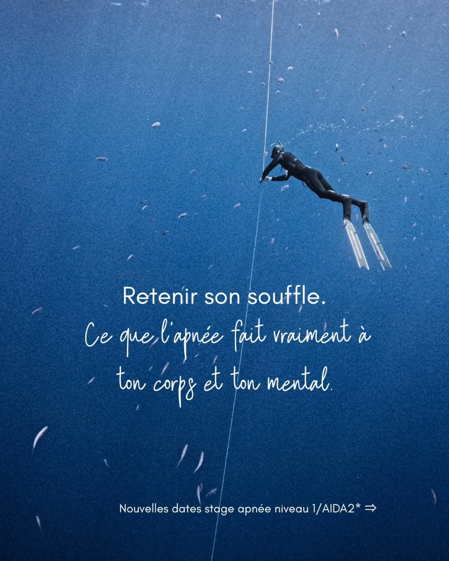 On associe souvent l'apn&eacute;e &agrave; la performance, &agrave; l'extr&ecirc;me, &agrave; la contrainte.

En vrai ? C'est tout l'inverse.

L'apn&eacute;e, c'est apprendre &agrave; l&acirc;cher. Le corps, le mental, le contr&ocirc;le.

Et les effe