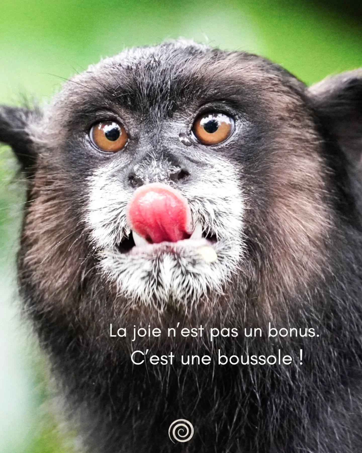 Longtemps nous choisissons avec la t&ecirc;te.
Ce qui &eacute;tait "logique", "raisonnable", ce qui avait du sens sur le papier.

Et puis un jour nous r&eacute;alisons que nous&nbsp;n'entendions pas la joie.
Elle &eacute;tait touj