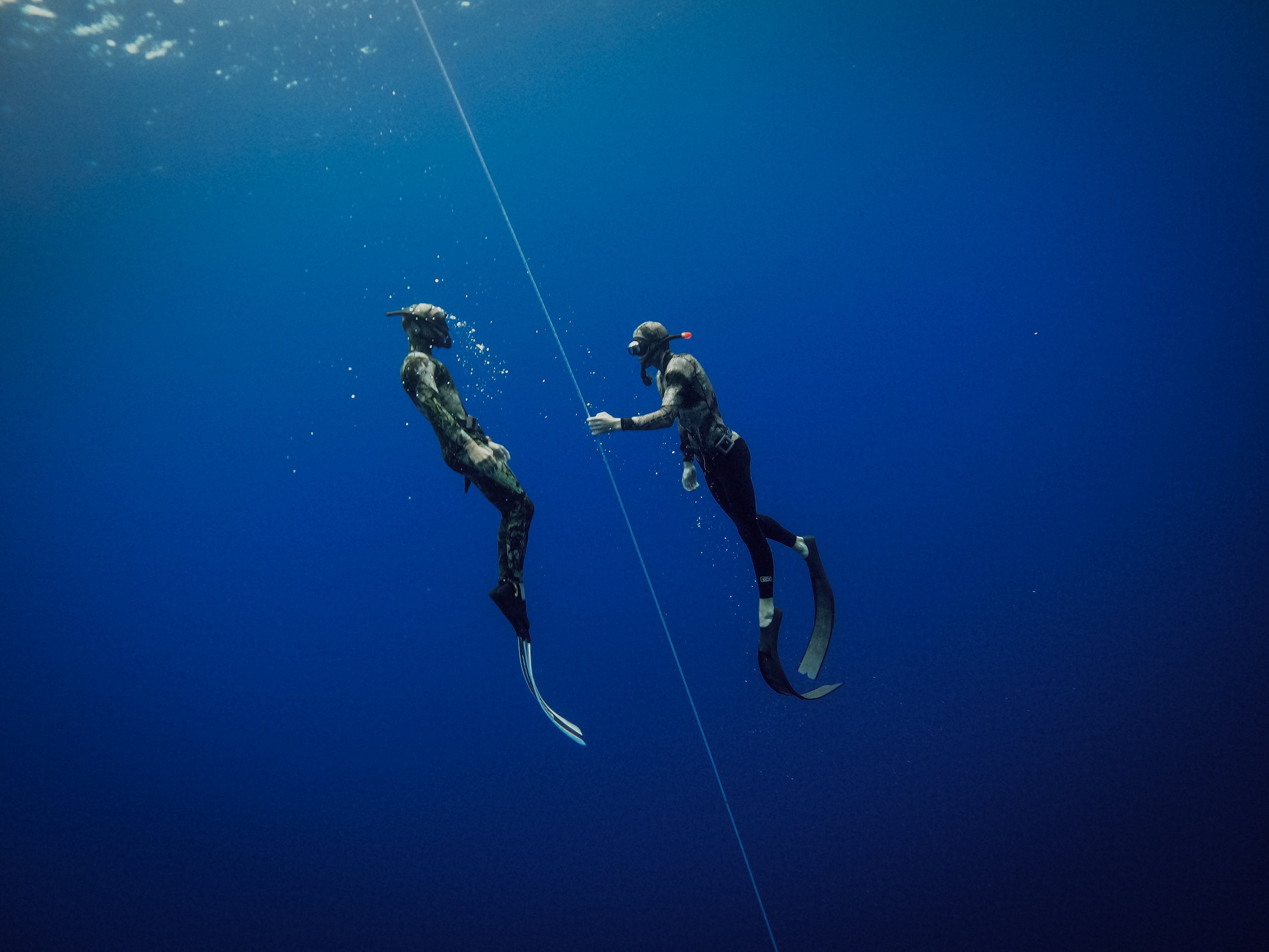 Deux plongeurs en apnée équipés de combinaisons et de palmes nageant au-dessus de la ligne de sécurité en mer bleue.