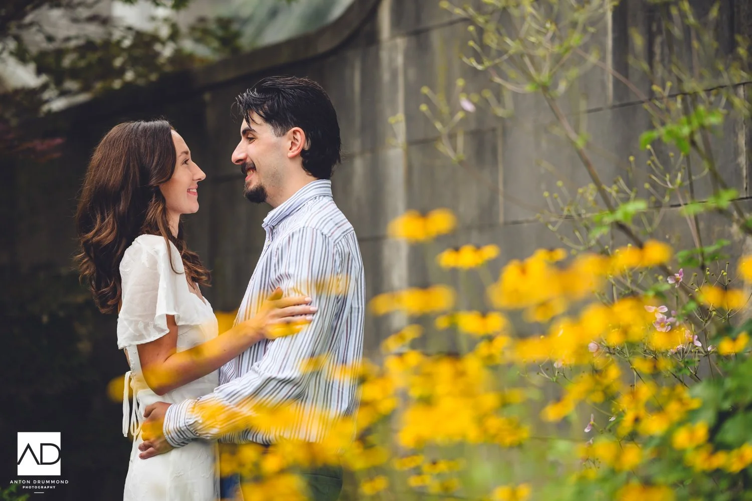 Emily and Joe tucked together behind a wash of golden wildflowers in full bloom — Montgomery County engagement photographer