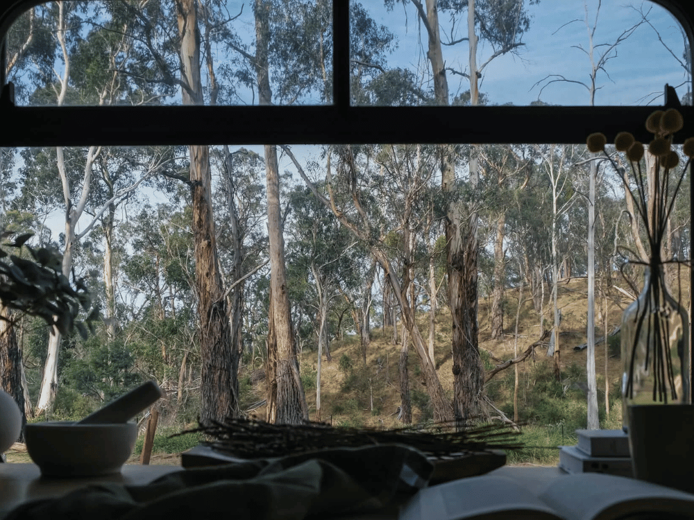 View through arched bus window to eucalyptus bush landscape at Moss & Wheels — off-grid couples retreat near Melbourne Victoria