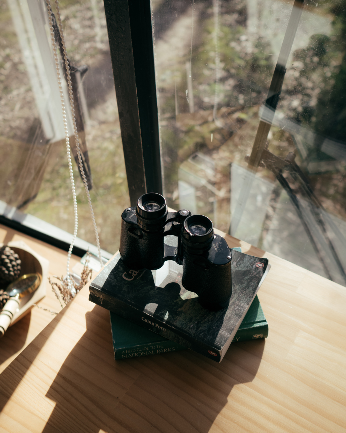Vintage binoculars resting on nature books by a bus window inside Moss & Wheels converted bus stay