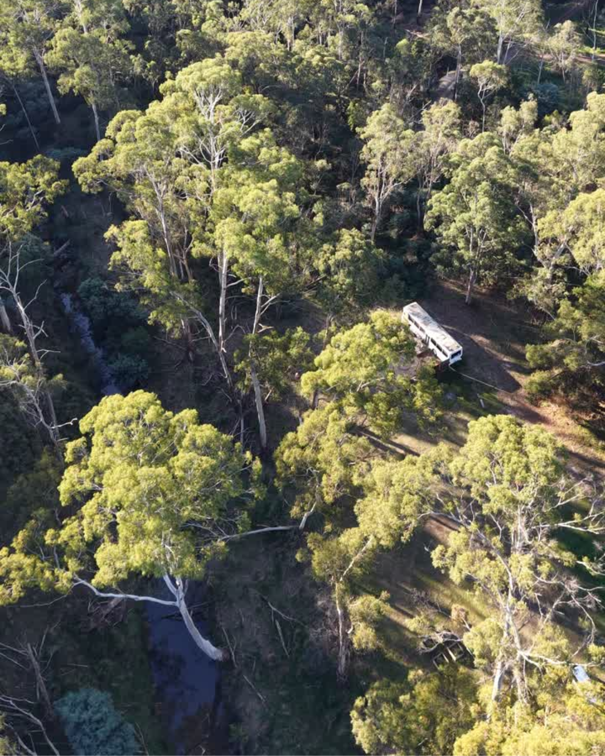 Aerial view of the Moss & Wheels converted bus nestled among dense eucalyptus bushland near Cottles Bridge Victoria