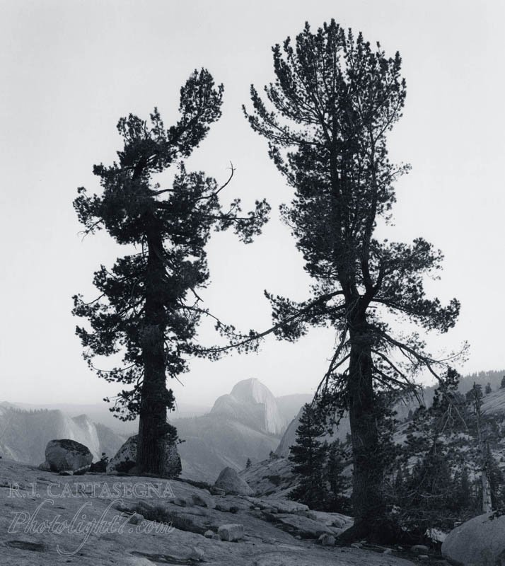 Yosemte Olmstead Point 2 Trees 2007
