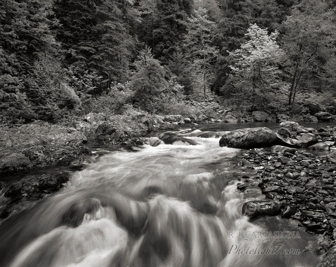 Tillamook River, Oregon 2015