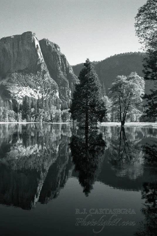 Yosemite Reflections 2005