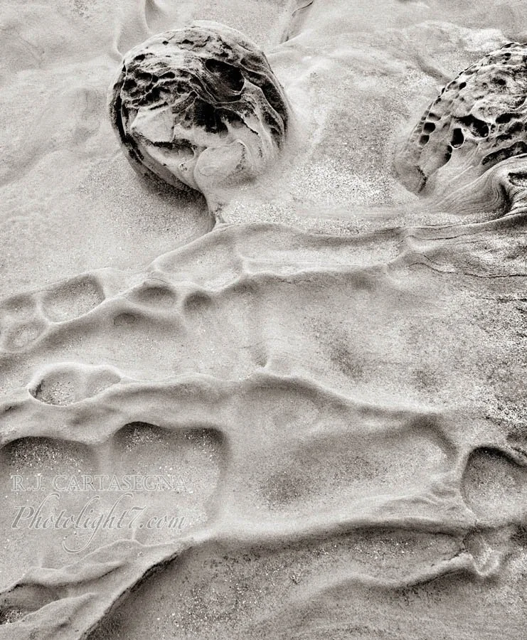 Shore Acres Abstract 1981