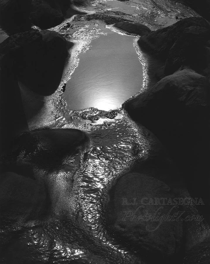 Tide Pool - Shore Acres, Oregon 2002