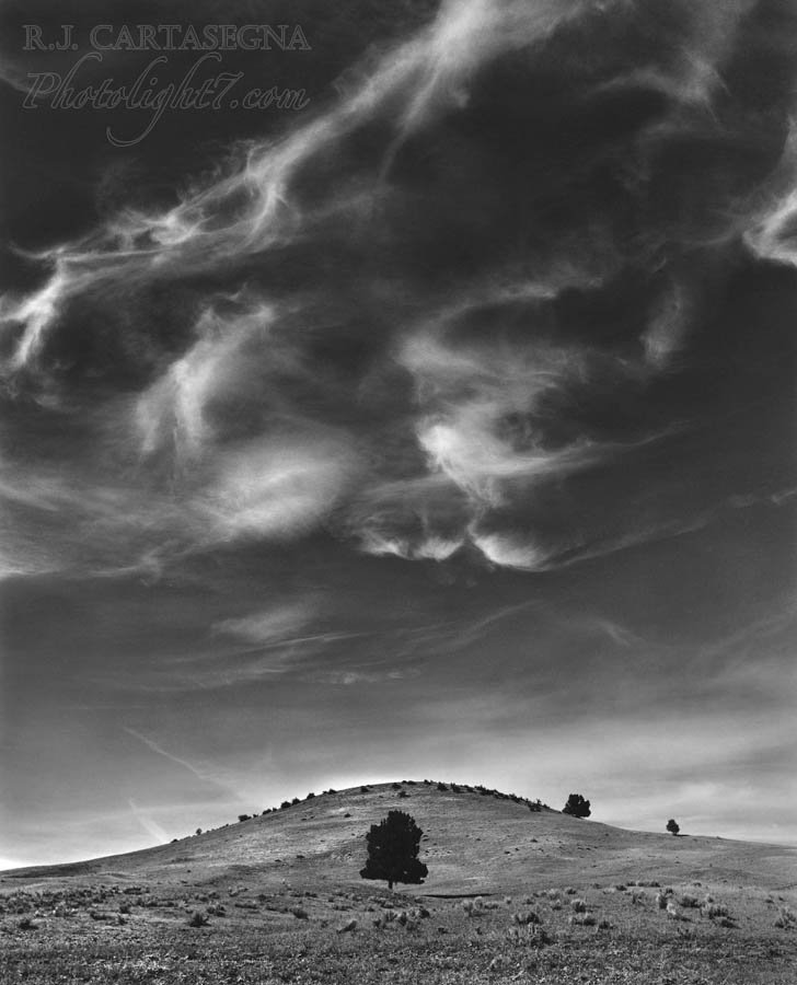 Lone Tree & Clouds 2002